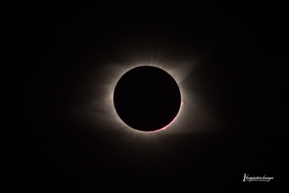 Solar Flare & Magnetic Corona.jpg