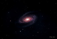 Bodes Galaxy (M81)