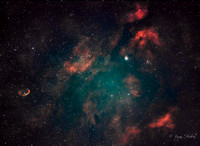 The Gamma Cygni Nebula (IC1318). Crescent Nebula (NGC6888) on the left (oval)