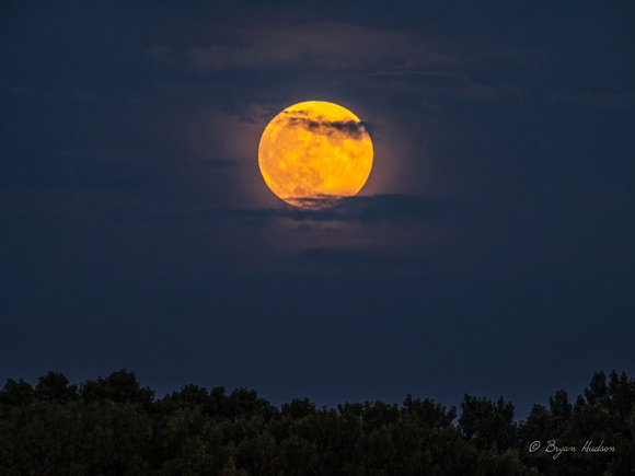 Harvest Moonrise
