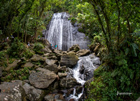 La Coca Falls in El Yunque National Forest, Puerto Rico.