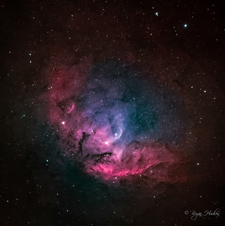 Tulip Nebula