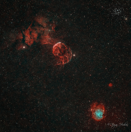 Jellyfish Nebula and Monkey Head Nebula