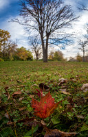 Change of Seasons
