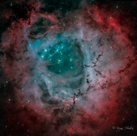 Rosette Nebula 2/19/24