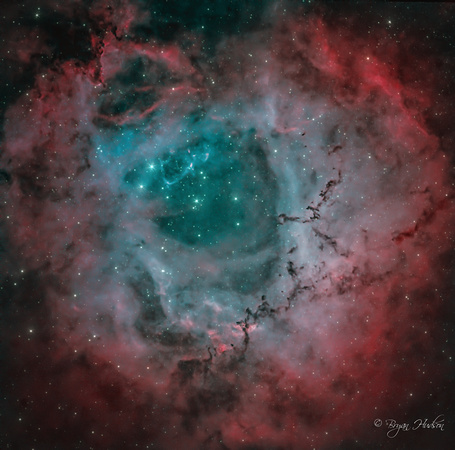 Rosette Nebula 2/19/24