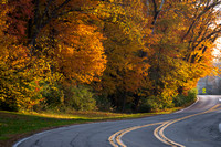 Fall Creek Road Color