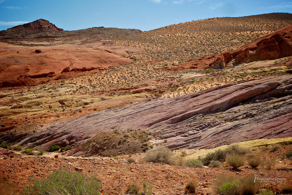 Valley of FIre Colors (Nevada)